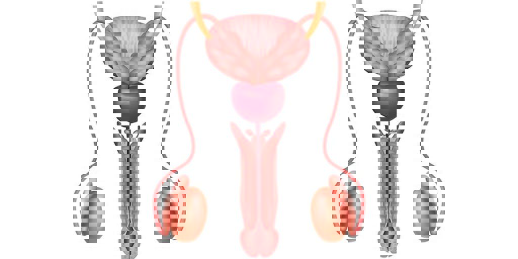 Uzmanından Uyarı: Bebeklerde İnmemiş Testis İhmal Edilmemeli